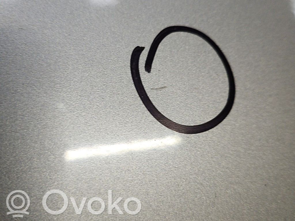 Ford C-MAX I Galinės durys 