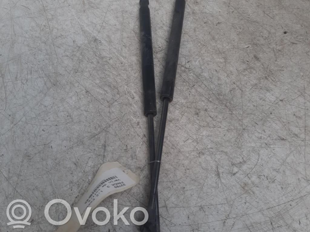Fiat Panda III Amortiguador/puntal del maletero/compartimento de carga 