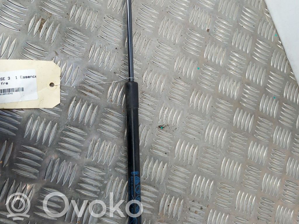 Tailgate/trunk strut/damper