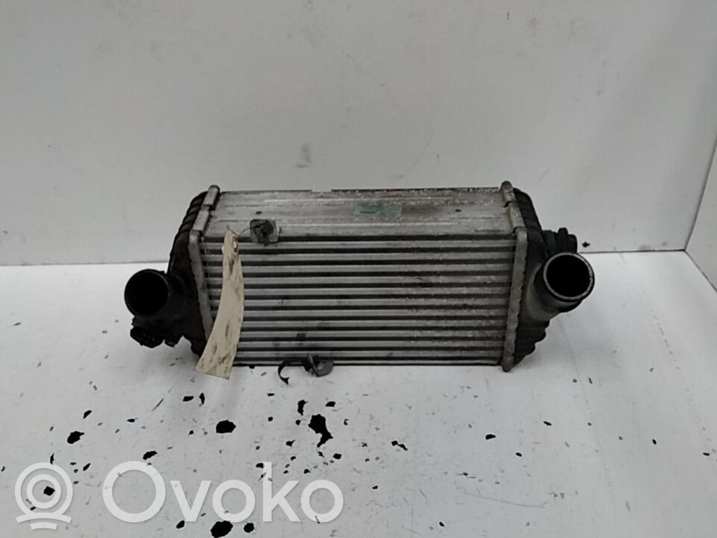 Hyundai i20 (PB PBT) Interkūlerio radiatorius 