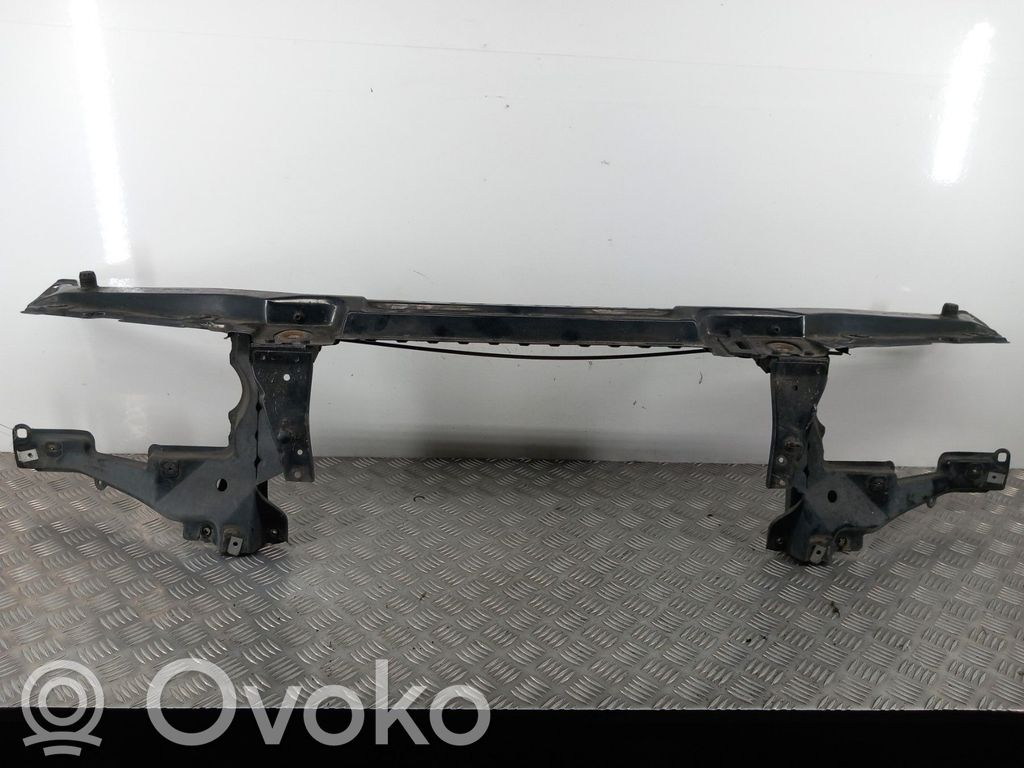 Radiatoru panelis   51718402319
