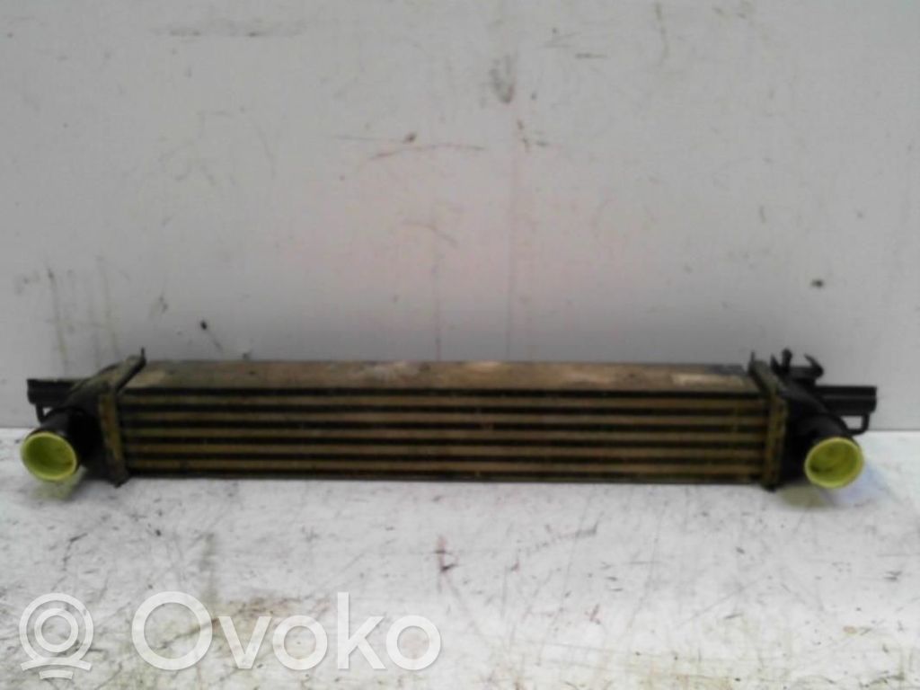 Peugeot Bipper Intercooler radiator 