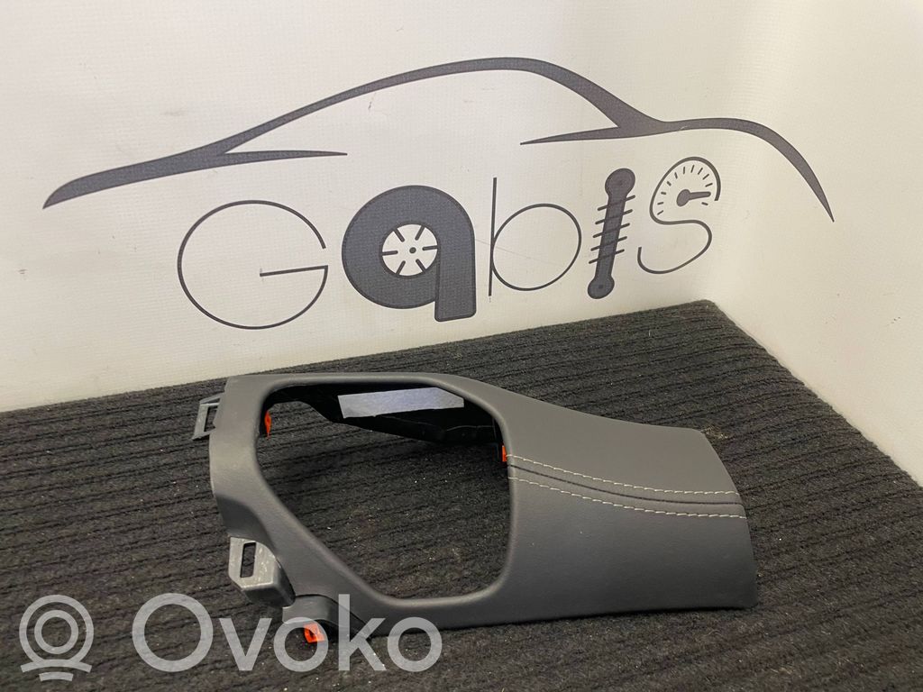 Dodge RAM Panel trim 