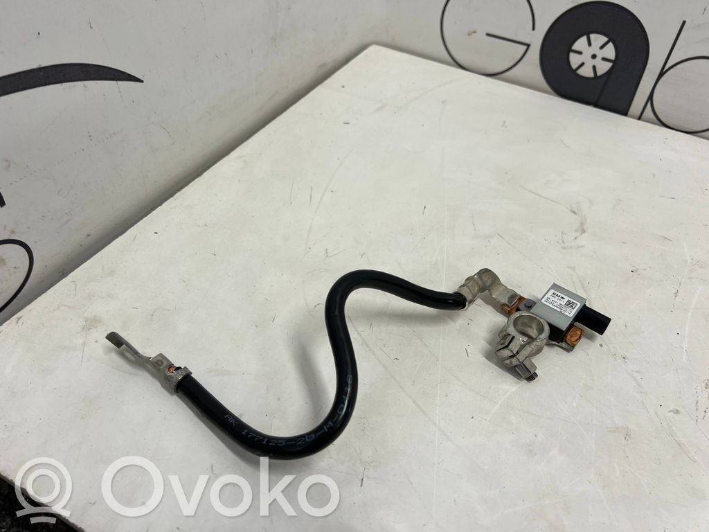 BMW 4 F32 F33 Negative earth cable (battery) 