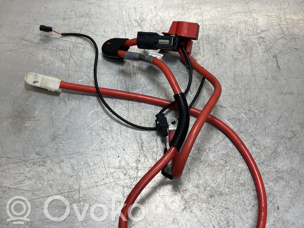 Positive cable (battery)   6944535