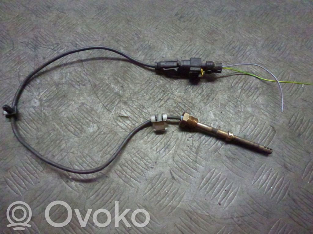 Fiat Doblo Exhaust gas temperature sensor 