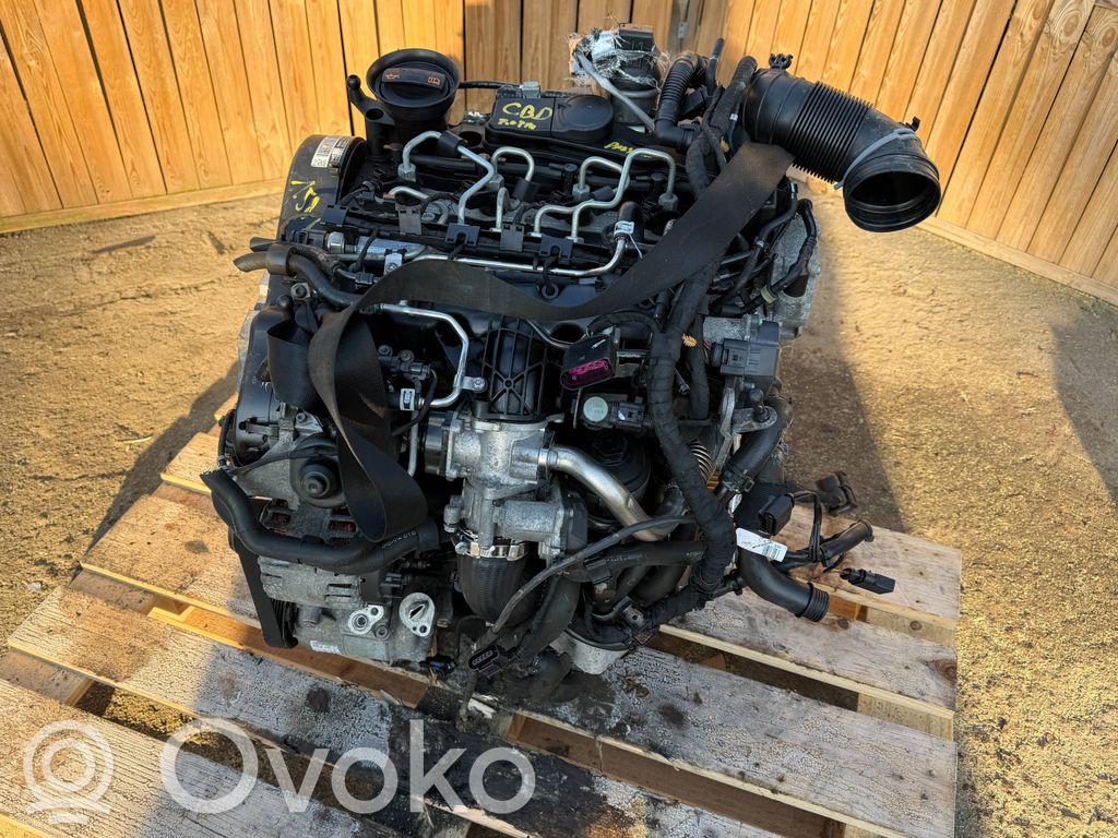 Motor   CBDA,CBDB,CBDC,CBD