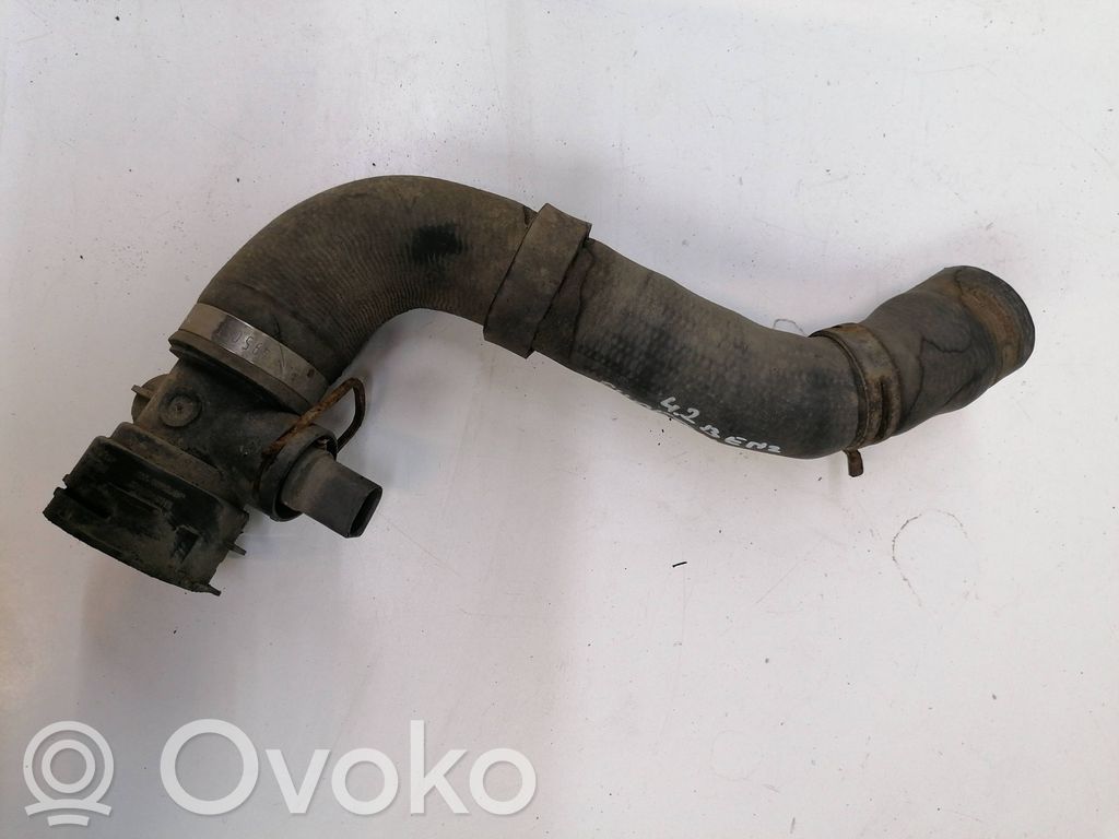 Volkswagen Phaeton Engine coolant pipe/hose 