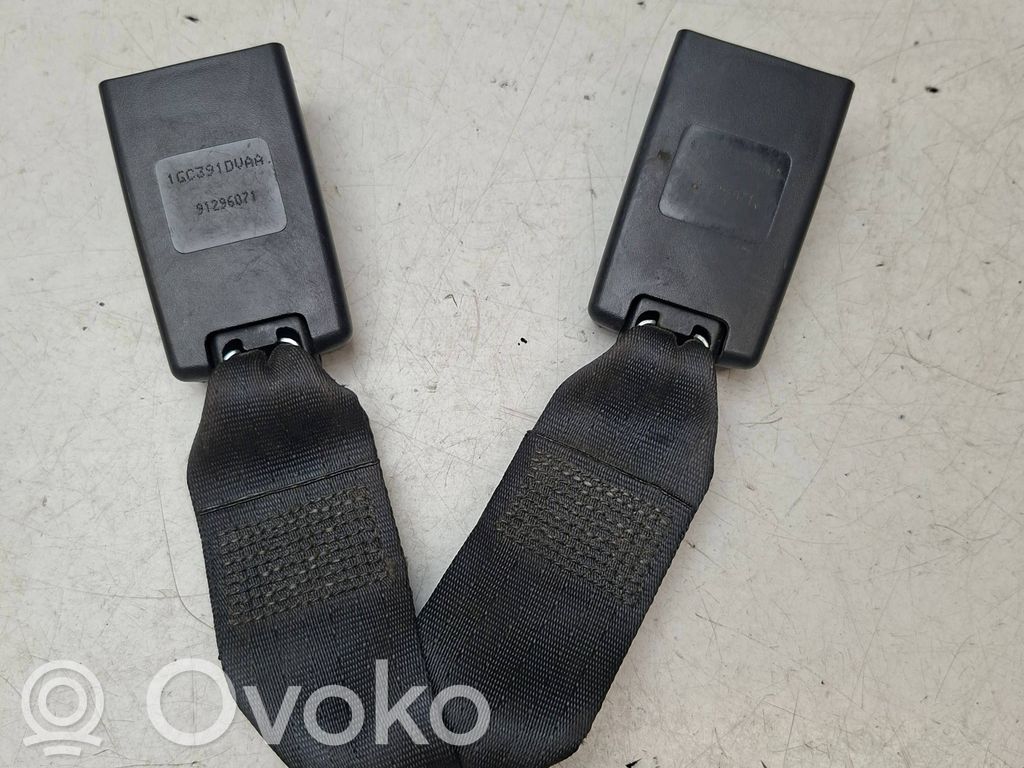 Dodge Caliber Sagtis diržo galine 
