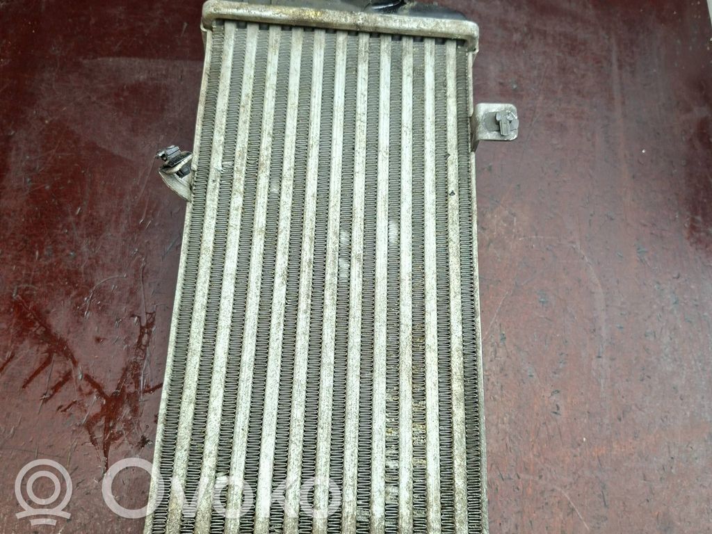 Radiador intercooler   282702A74X