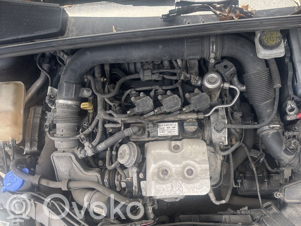 Motor