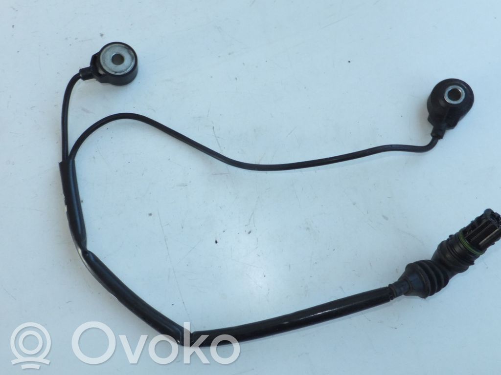 Sensor de petardeo del motor   0261231136,7568421