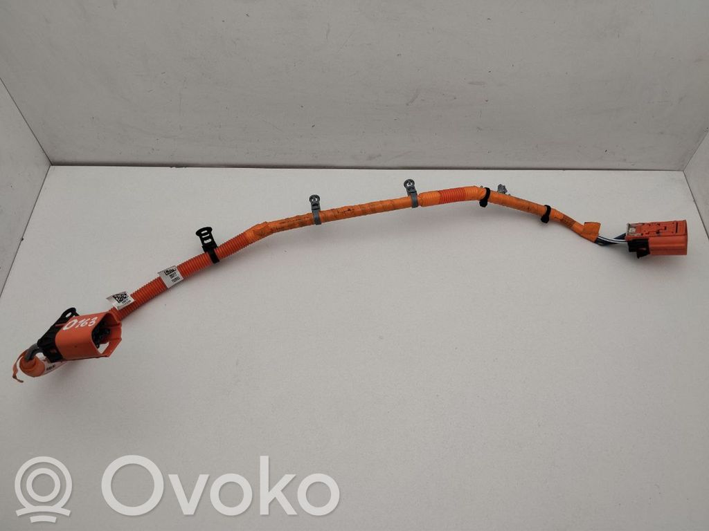 Chrysler Pacifica Other wiring loom 