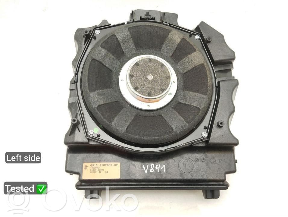 Altavoz subwoofer   65139187983,738661,9187983,V841