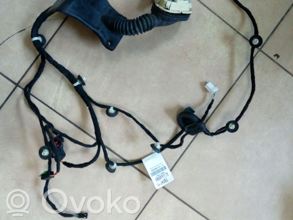 Jeep Compass Cableado de puerta trasera 