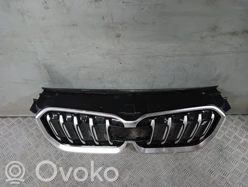 BMW X1 U11 Oberes Gitter vorne 