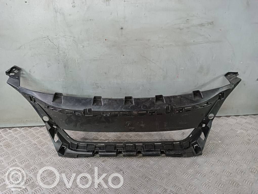 Maskownica / Grill / Atrapa górna chłodnicy   9815317777,C067600911