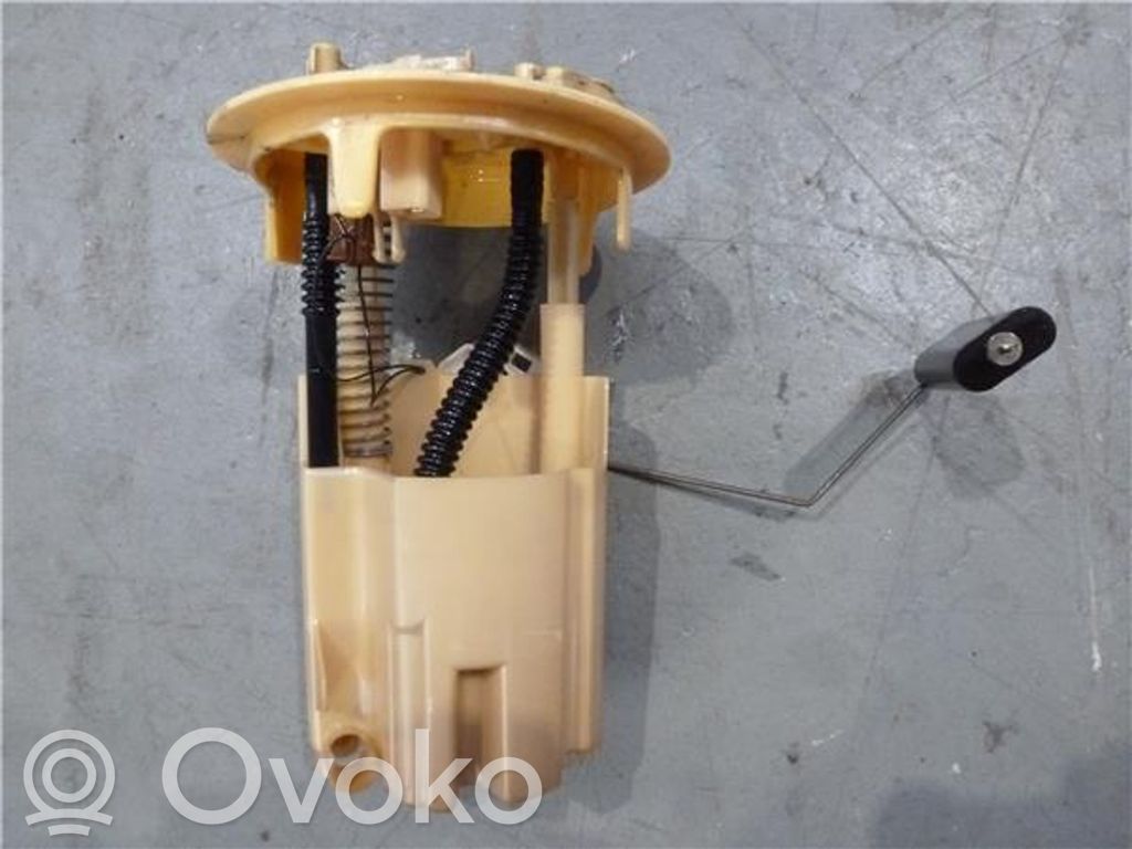 Citroen C3 In-tank fuel pump 