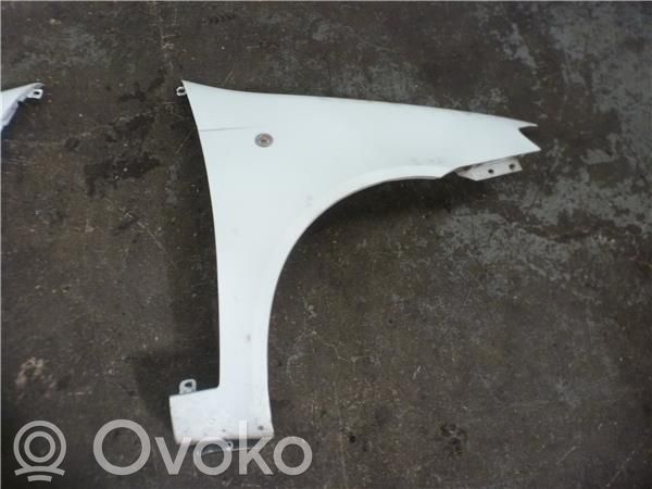 Fiat Punto (188) Front arch 