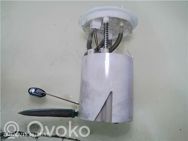 Bomba interna de combustible   311101H800