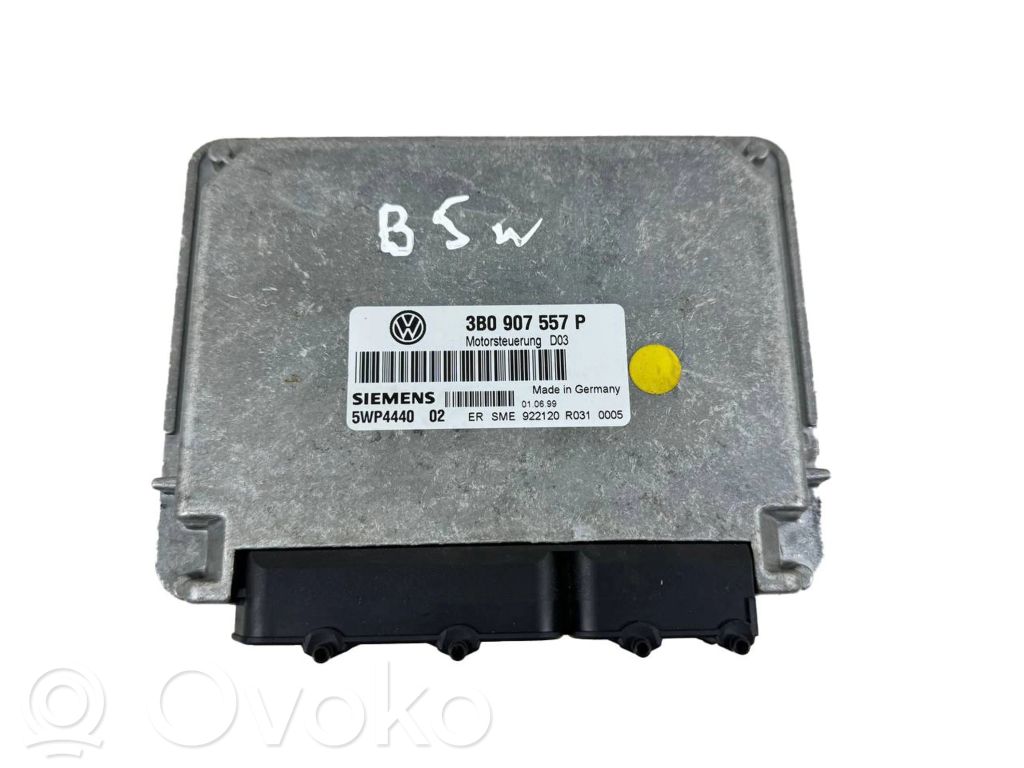 Volkswagen PASSAT B5.5 Engine control unit/module 