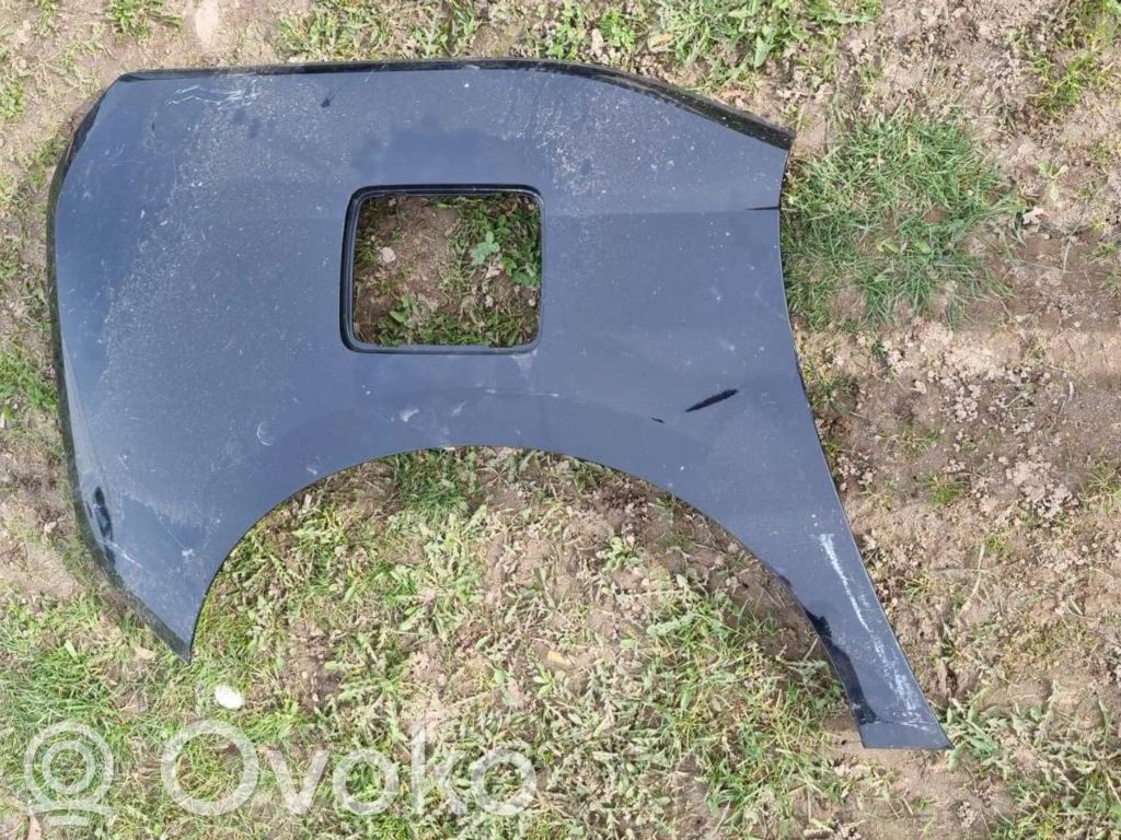 BMW i3 Kita išorės detalė 