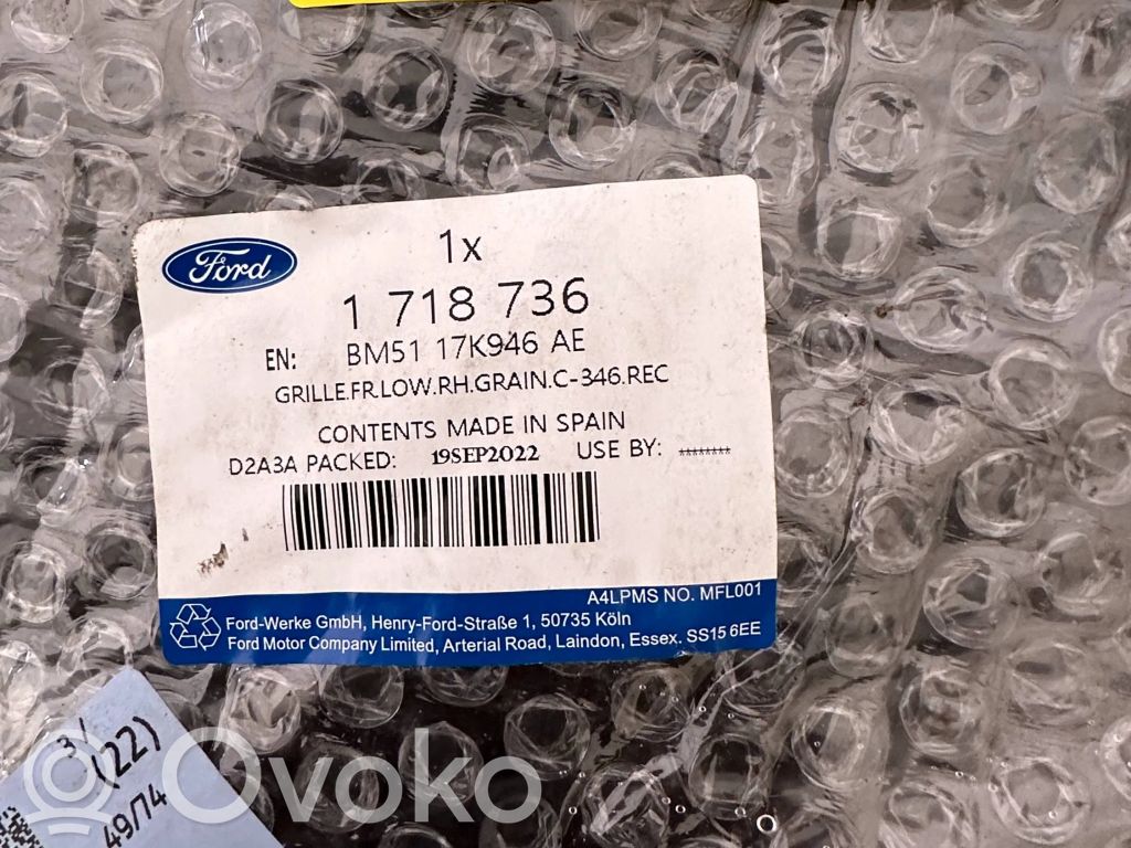 Ford Focus Mascherina inferiore del paraurti anteriore 