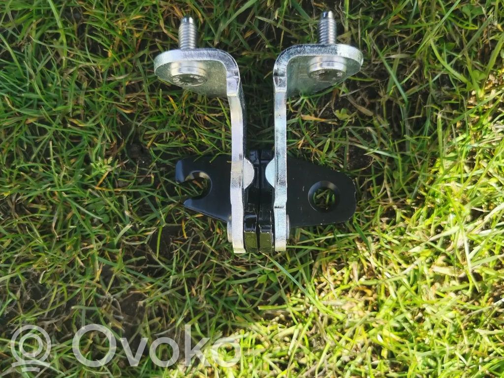 Tesla Model 3 Rear door lower hinge 