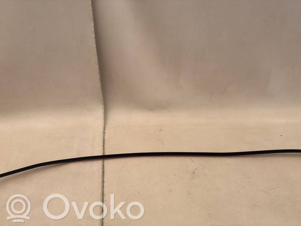 Volkswagen Golf V Front door glass trim molding 