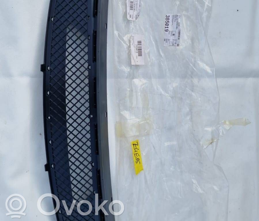 Front bumper lower grill   51117016061,385019