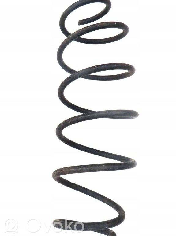 Rear coil spring