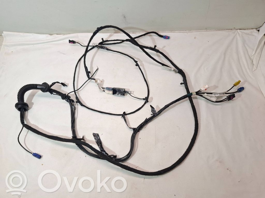 Arnés de cableado de la puerta trasera/maletero   1004429,80100035