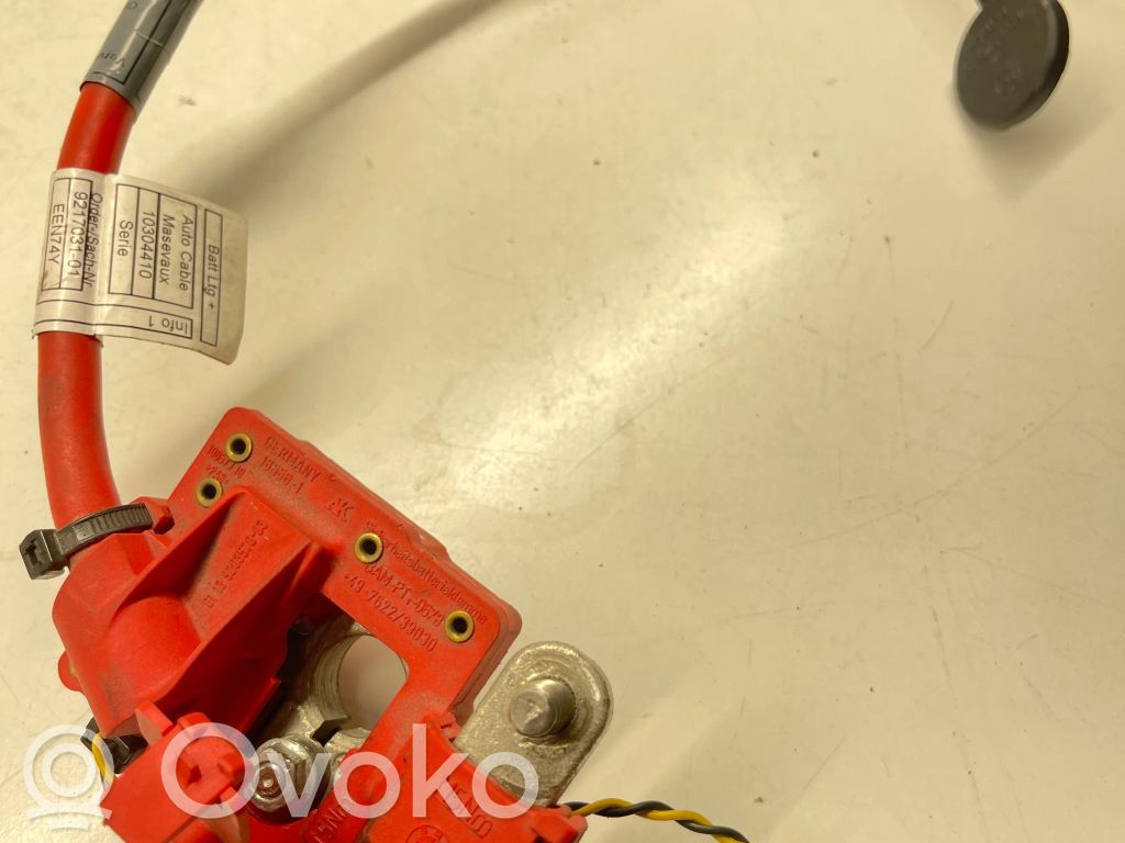 Positive cable (battery)   9217031,10304410,EEN74Y