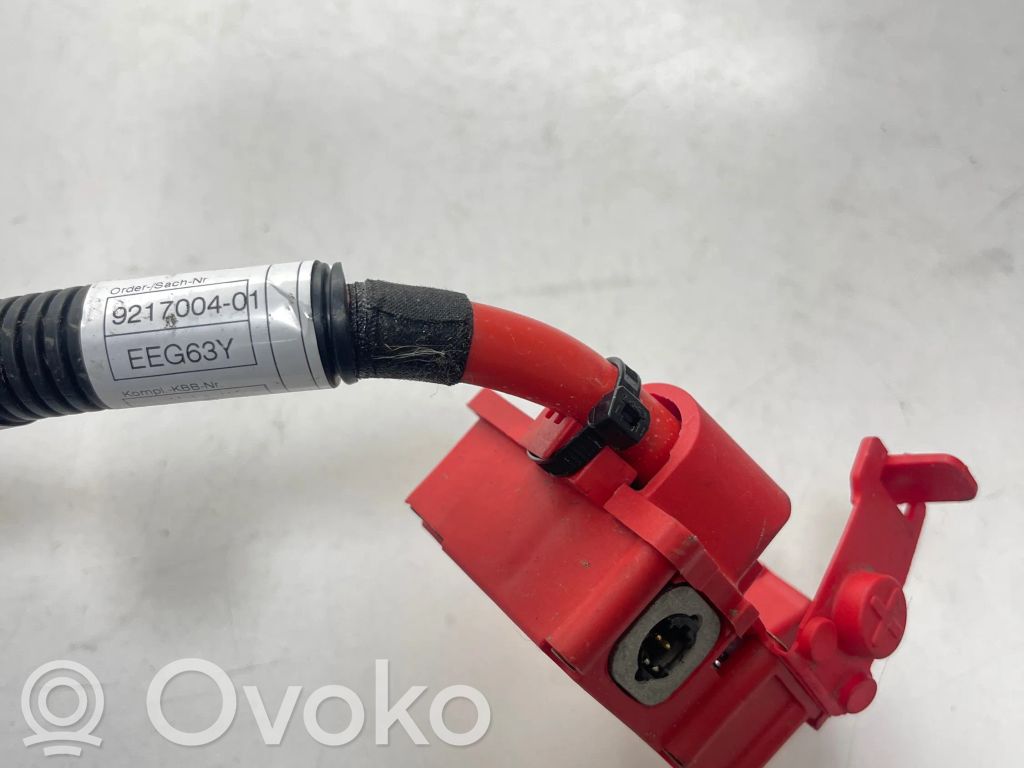 Cable positivo (batería)   9217004,EEG63Y