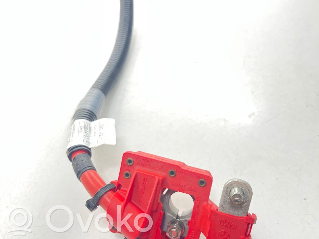 Pluskabel Batterie   9217004