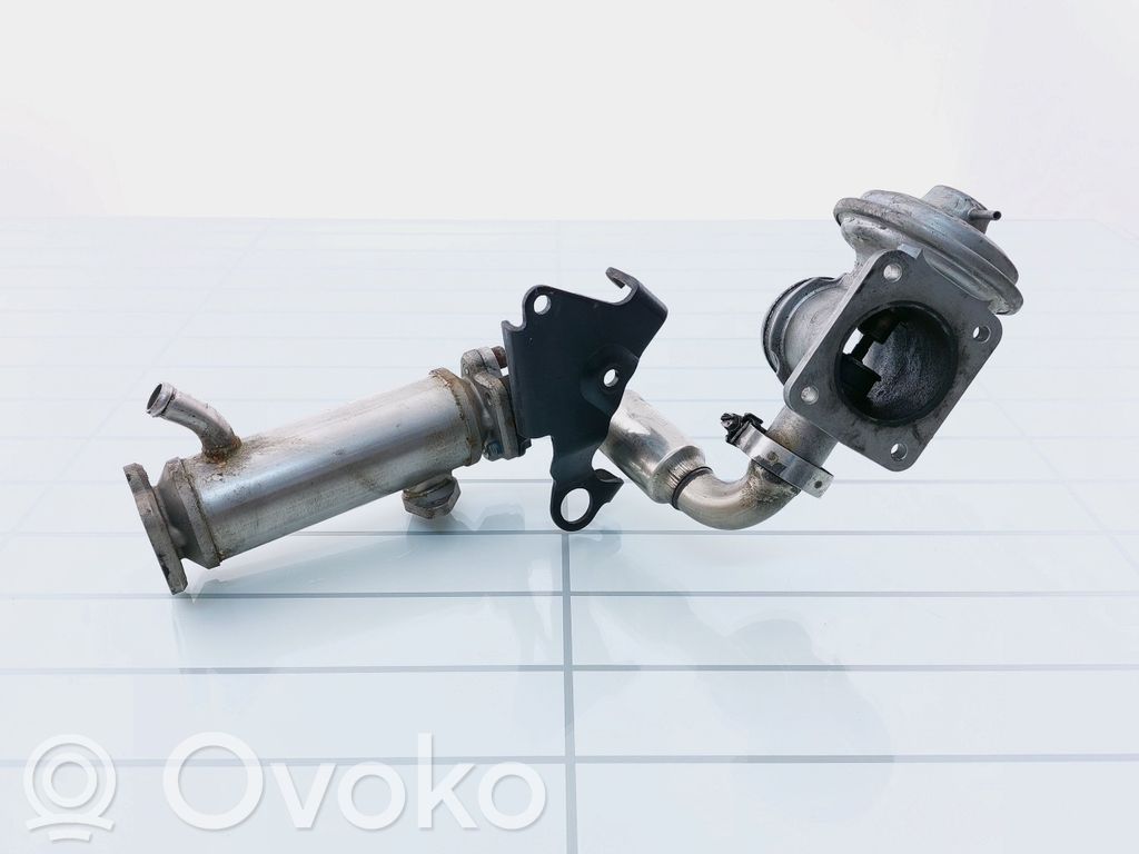 BMW 5 E39 EGR vārsts 