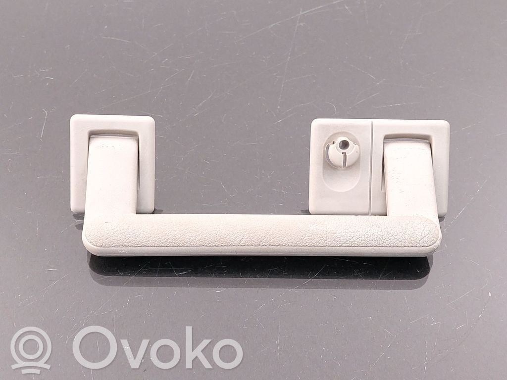 Asidero interior trasero   443857607B