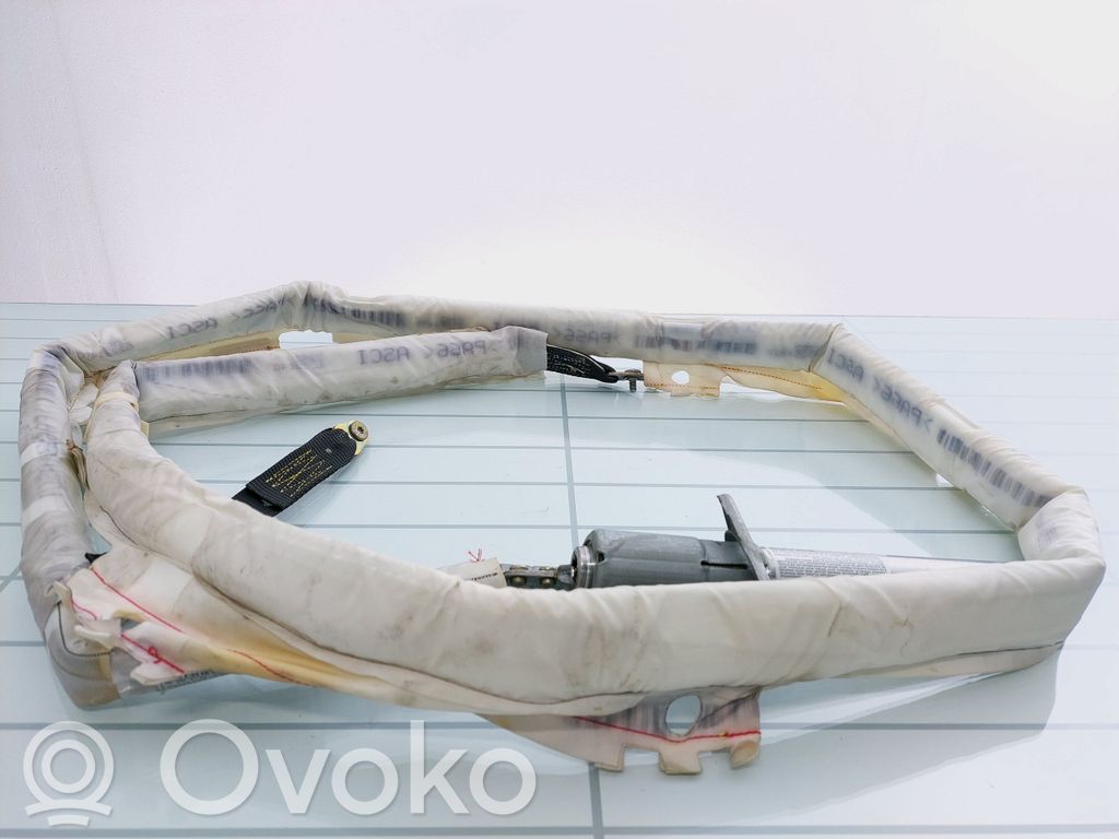 Airbag del techo   85701101405A