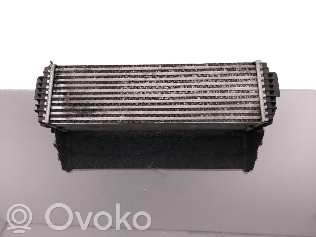 BMW X5 E70 Interkūlerio radiatorius 