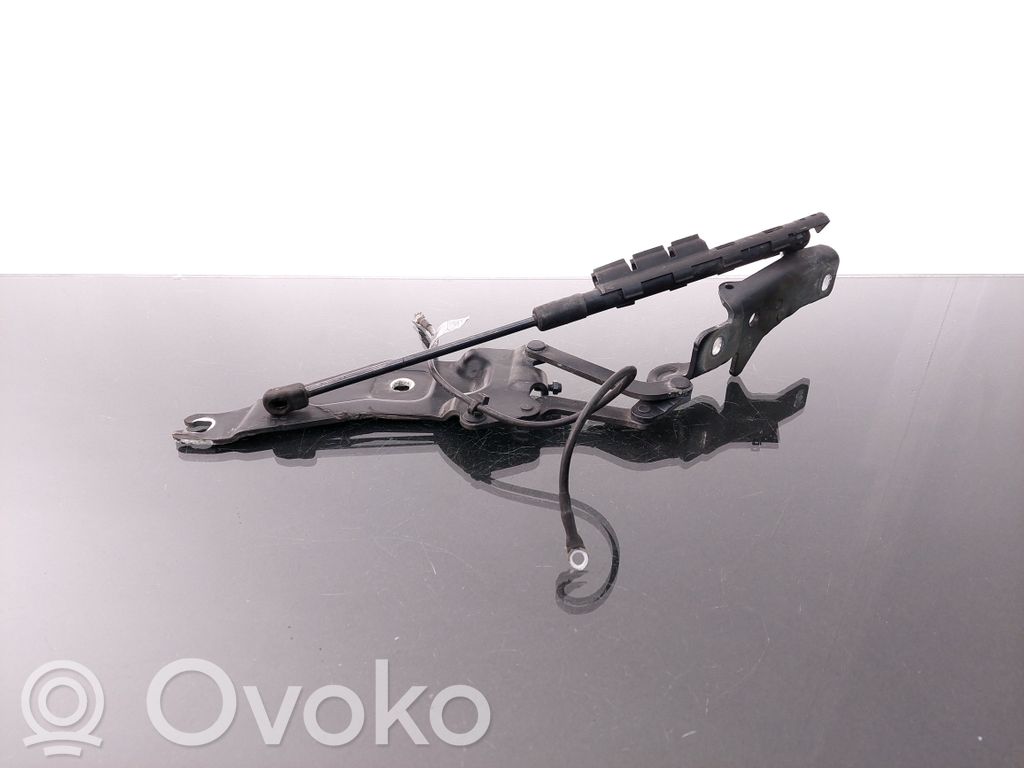 BMW X5 E70 Engine bonnet/hood hinges 