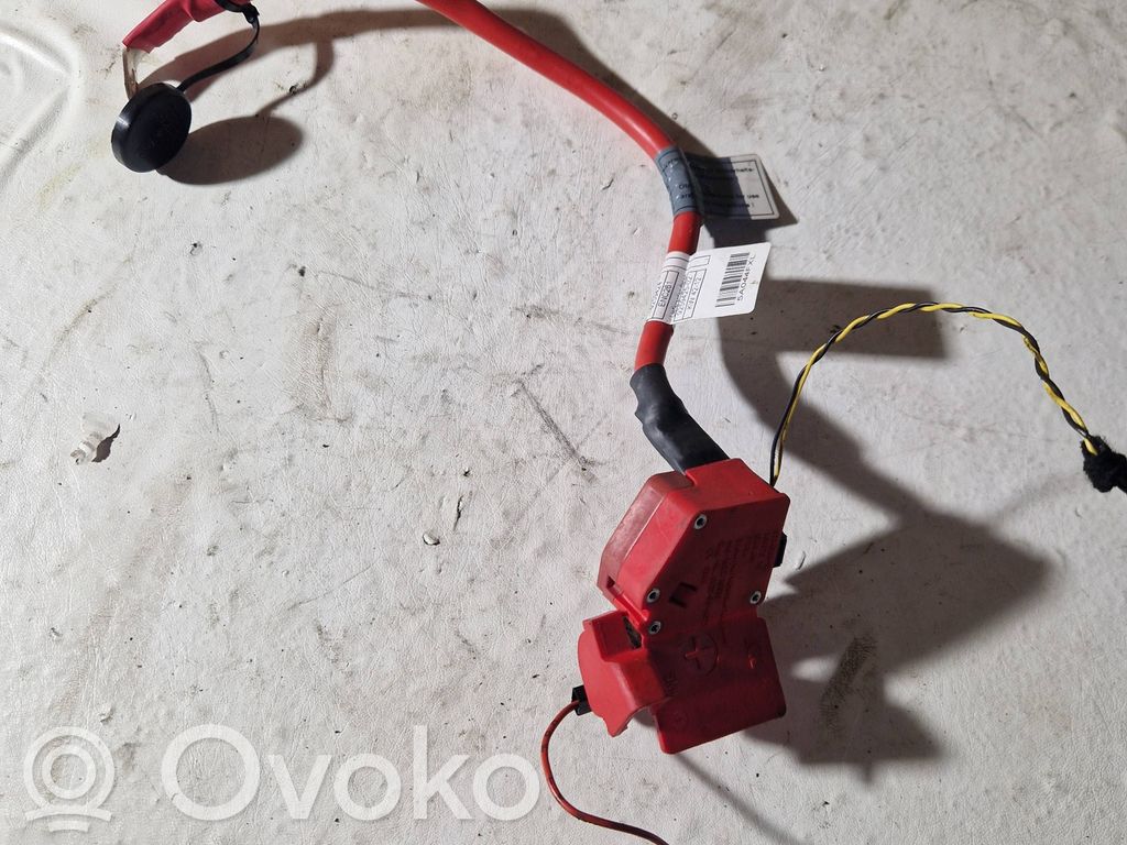 BMW 3 F30 F35 F31 Pluskaapeli (akku) 