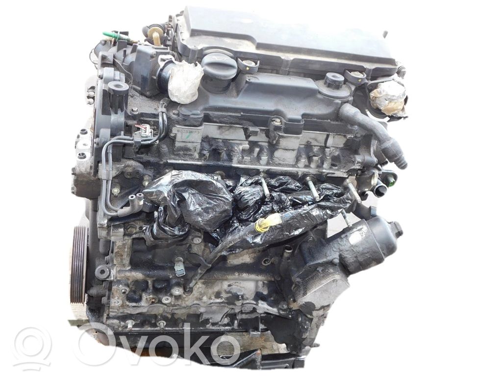 Motor   8HX,10FD33