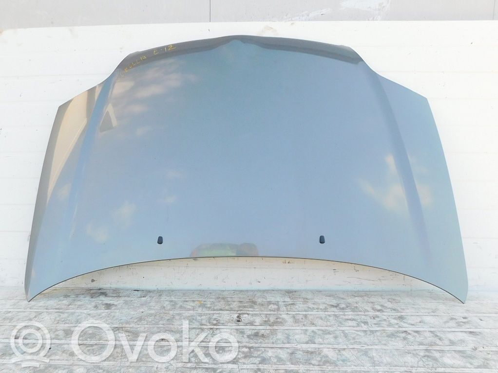 Engine bonnet/hood   195433