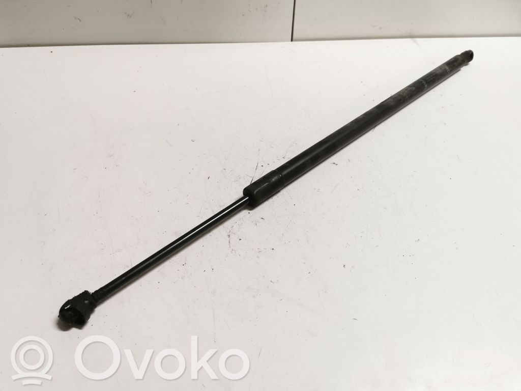 Dodge Durango Tailgate/trunk strut/damper 