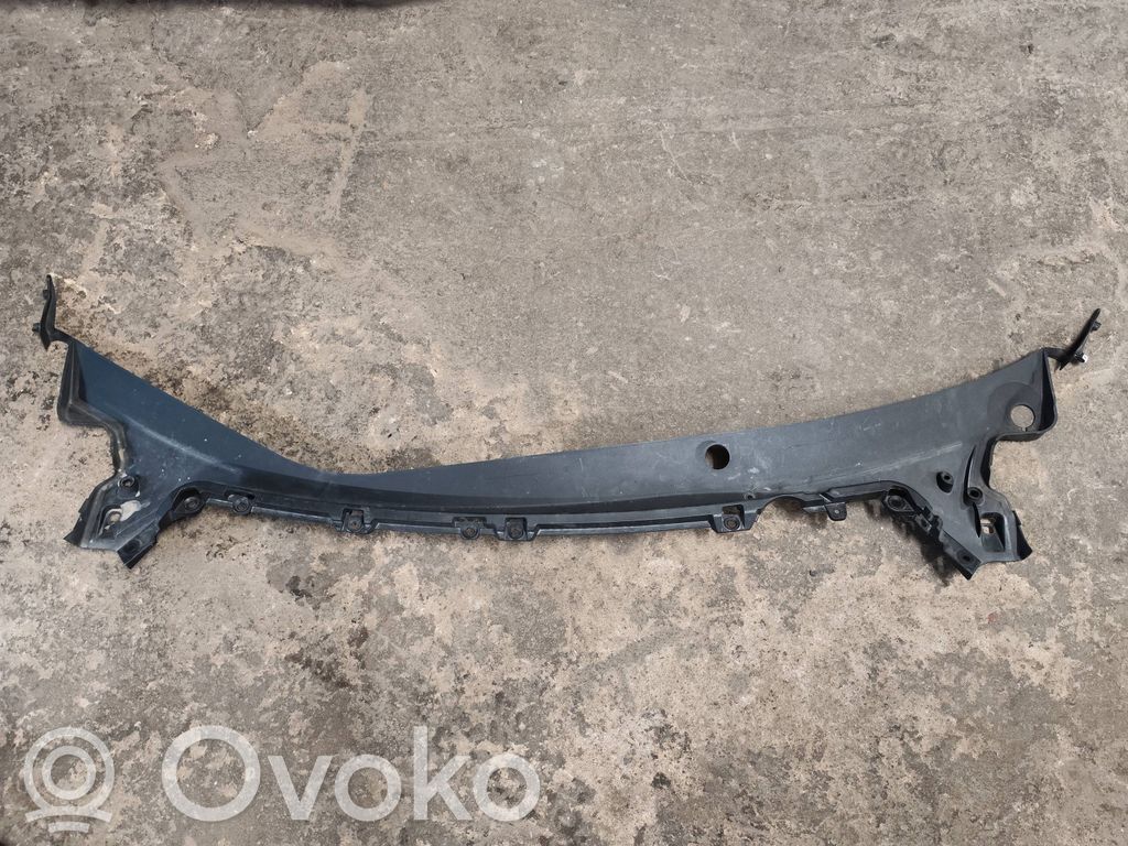 Tesla Model 3 Valytuvų apdaila (-os) 