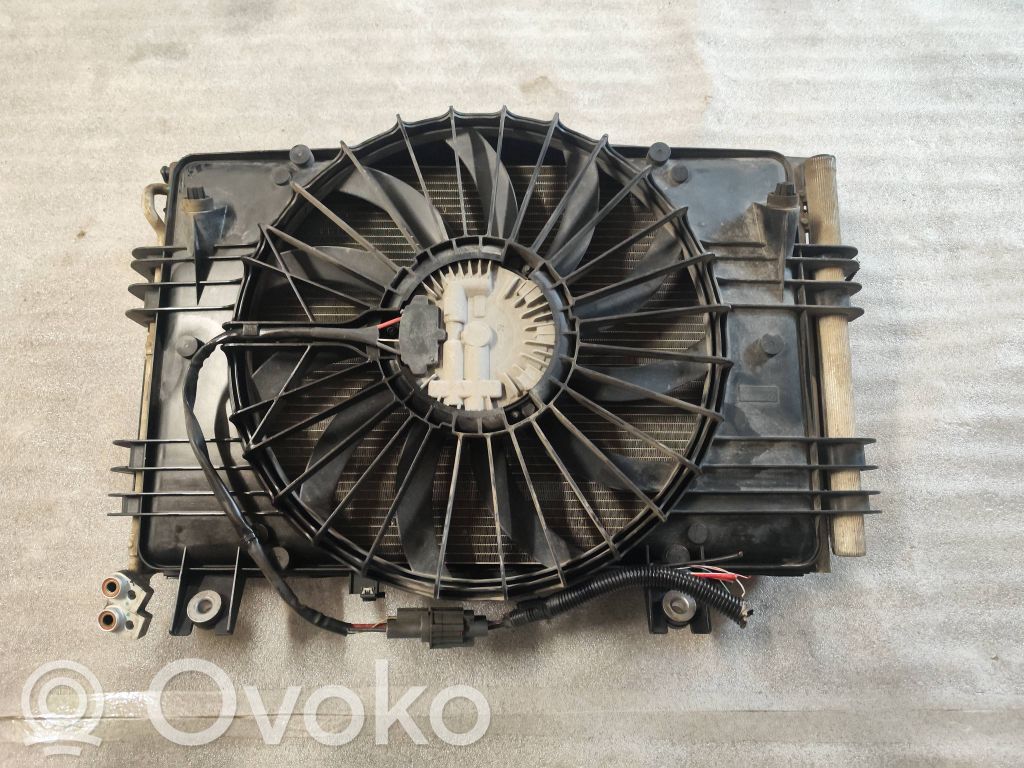 Radiator set   103485000E,103485000F,103485300F,103485000E,105516000D,105614800C,111561300A