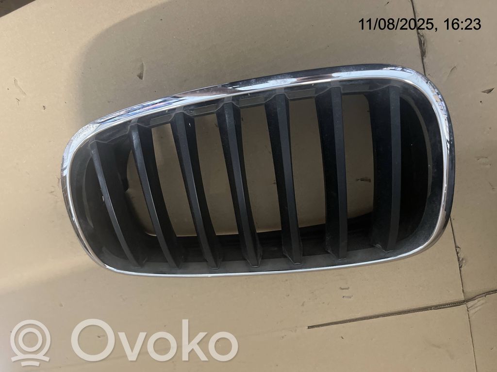 BMW X5 E70 Etusäleikkö 