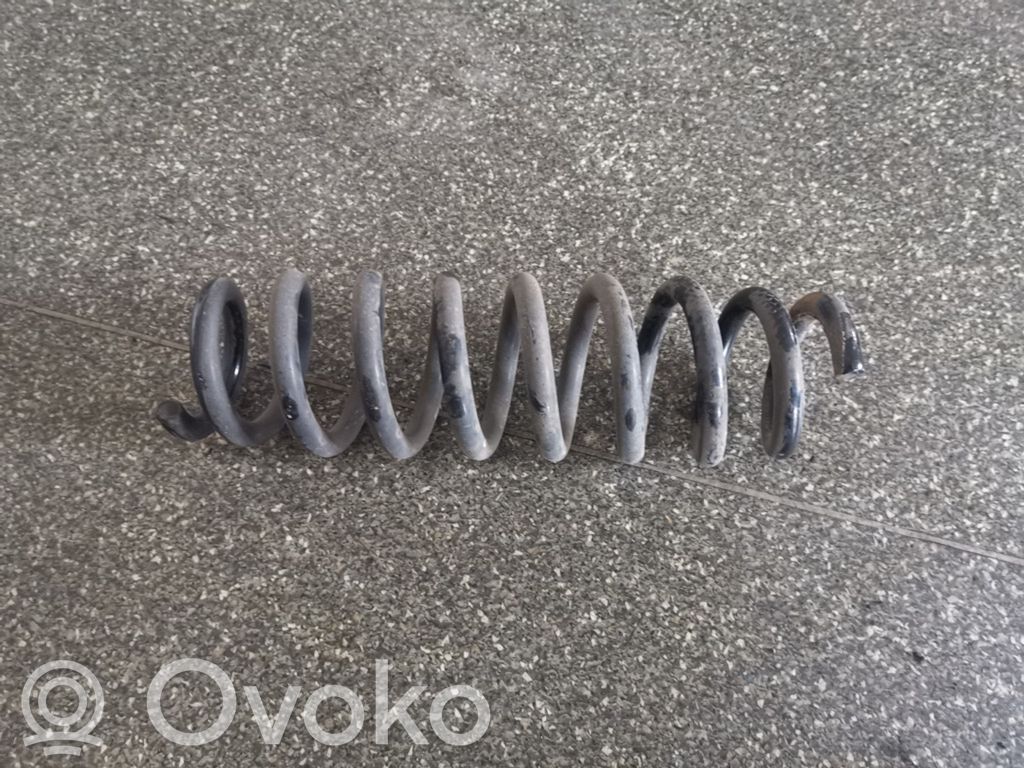 Rear coil spring