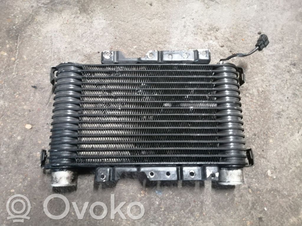 Hyundai Galloper Interkūlerio radiatorius 