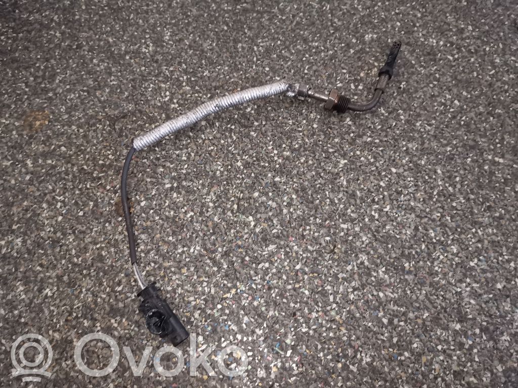 Abgastemperatursensor   31319841